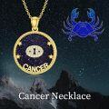 wholesale 14k Gold Plated Blue Sandstone Zodiac Necklace 12 Constellation Pendant for Women-0-27