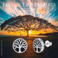 wholesale 925 Sterling Silver & Black Stone Viking Runes Stud Earrings with Tree of Life Nordic Symbol for Men Women-0-5
