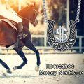 wholesale 925 Sterling Silver Good Luck Horseshoe Pendant Necklaces with Dollar Sign and Lucky Words for Men & Women-0-4