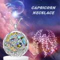 wholesale TOUPOP Capricorn Zodiac Necklace S925 Sterling Silver Constellation Pendant Astrology Horoscope Jewelry Garnet Birthstone Necklace Abalone Jewelry Birthday Gifts For Women -0-1