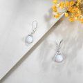 wholesale 925 Sterling Silver Dangle Earrings Wholesale With Black Onyx Stones Elegant Design-0-18