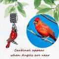 wholesale 925 Sterling Silver Red Cardinal Sunflower Heart Cross Family Tree Cremation Charm Urn Bead Bracelet Keepsake Memorial Locket-0-4