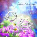 wholesale 925 Sterling Silver Bee Hexagon Stud Earrings Honeycomb  for Her-0-5