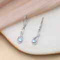 wholesale 925 Sterling Silver Moonstone Drop Earrings Platinum Plated Infinity Crystal Teardrop Dangle Earrings For Women-0-2