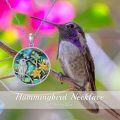 wholesale 925 Sterling Silver Round Hummingbird Abalone Shell Inlay Pendant Necklace Gift for Her Mother's Day Jewelry-0-2