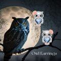 wholesale 925 Sterling Silver Owl Heart Stud Earrings with Rose Gold Accents and Blue Crystal for Women Girls Gifts-0-4