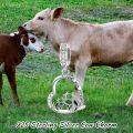 wholesale 925 Sterling Silver Heart-Shaped Cow Charm Bracelet Gift for Women and Girls-0-1