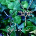 wholesale Sterling Silver Stone Dragonfly Urn Necklace for Ashes w Filling Tool-0-76