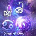 wholesale 925 Sterling Silver Zodiac Constellation Leverback Dangle Earrings-0-1