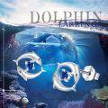 wholesale 925 Sterling Silver Dolphin Octopus Seahorse Earrings Ocean Animal Jewelry Gift-0-3