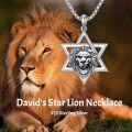 wholesale 925 Sterling Silver Lion Head in Star of David Pendant Necklace-0-1