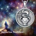 wholesale 925 Sterling Silver Aquarius Zodiac Sign Pendant Necklaces for Women Astrology s-0-2