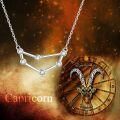 wholesale 925 Sterling Silver Austrian Crystal Zodiac Pendant Necklace - 12 Constellations Astrology s for Women-0-4