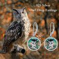 wholesale 925 Sterling Silver Graduation Owl Abalone Shell Drop Earrings for Women-0-4