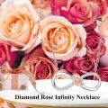 wholesale 925 Sterling Silver Infinity Rose Pendant with Diamonds and Chain for Women-0-2