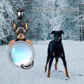 wholesale 925 Sterling Silver Moonstone Doberman Pinscher Pendant Necklace for Women - Memorial s-0-4