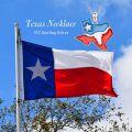 wholesale 925 Sterling Silver Texas State Flag Map Pendant Necklaces for Women Girls  USA America US States Souvenir Traveler Present Accessories 43cm Chain Length-0-3