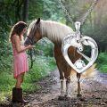 wholesale 925 Sterling Silver Birthstone Crystal Horse Heart Necklace Women s Jewelry Gift-0-17