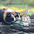 wholesale 925 Sterling Silver Rose Flower Guinea Pig Charm Pendant for Bracelets Necklaces's-0-4