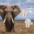 wholesale S925 Sterling Silver Elephant Stud Earrings for Women Animal s-0-1