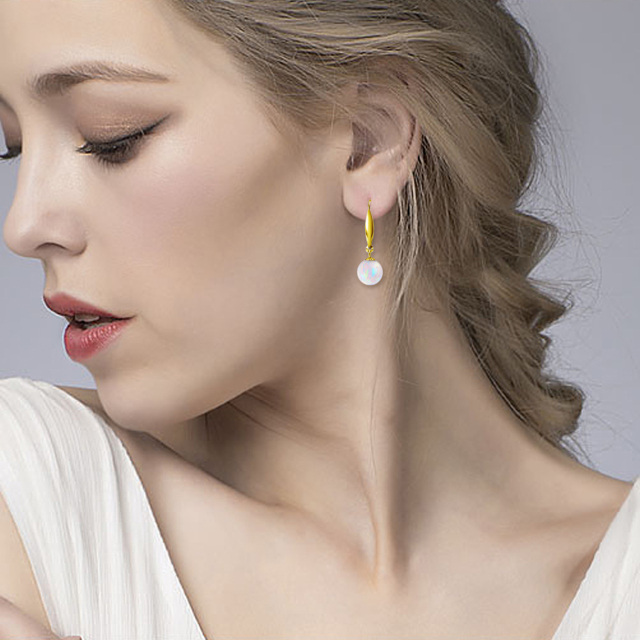18K Gold Opal Round Drop Earrings-1