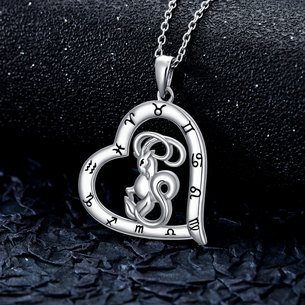 Sterling Silver Aquarius & Aries & Cancer & Capricorn & Gemini & Leo & Libra & Pisces & Sagittarius & Scorpio & Taurus & Virgo & Heart Pendant Necklace-4