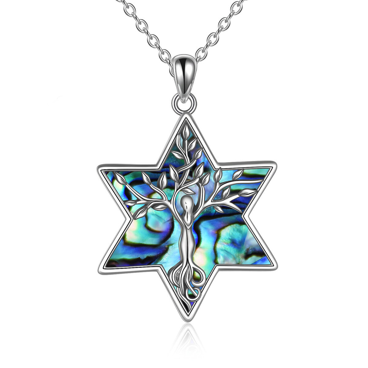 Sterling Silver Abalone Shellfish Tree Of Life & Star Of David Pendant Necklace-1