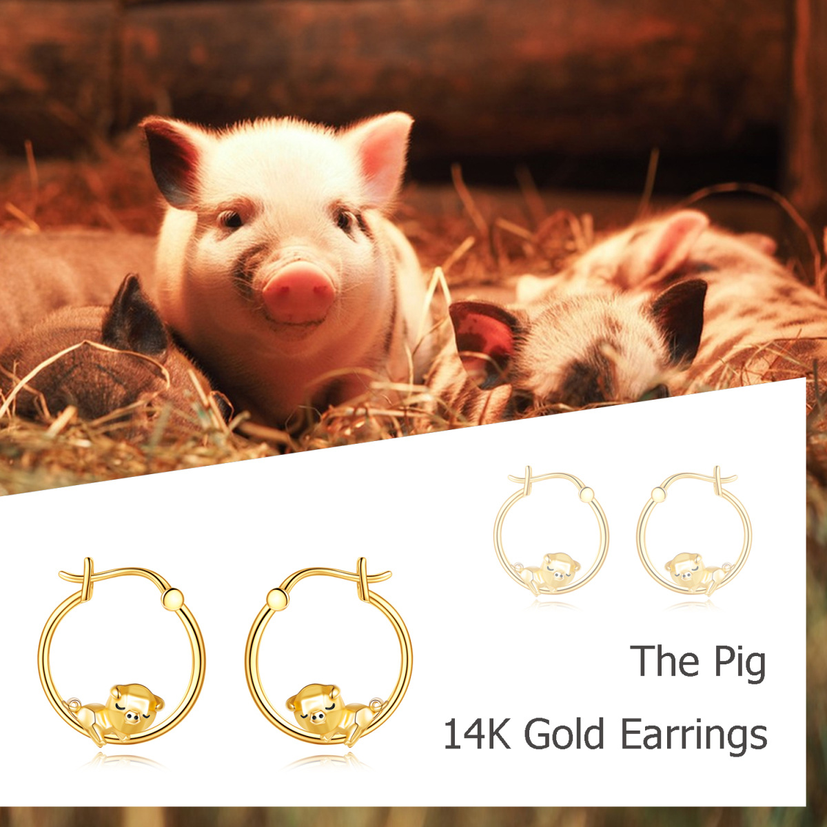 14K Gold Pig Hoop Earrings-6