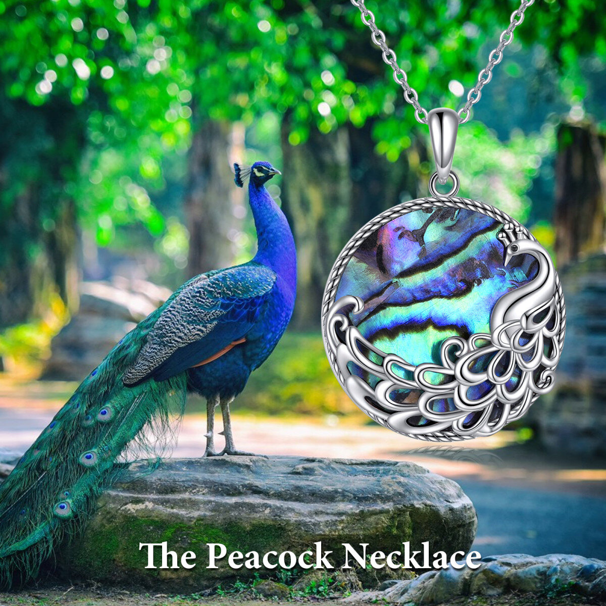 Sterling Silver Round Abalone Shellfish Peacock Pendant Necklace-6