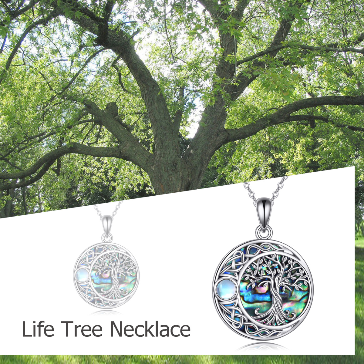 Sterling Silver Abalone Shellfish Tree Of Life & Celtic Knot Pendant Necklace-6