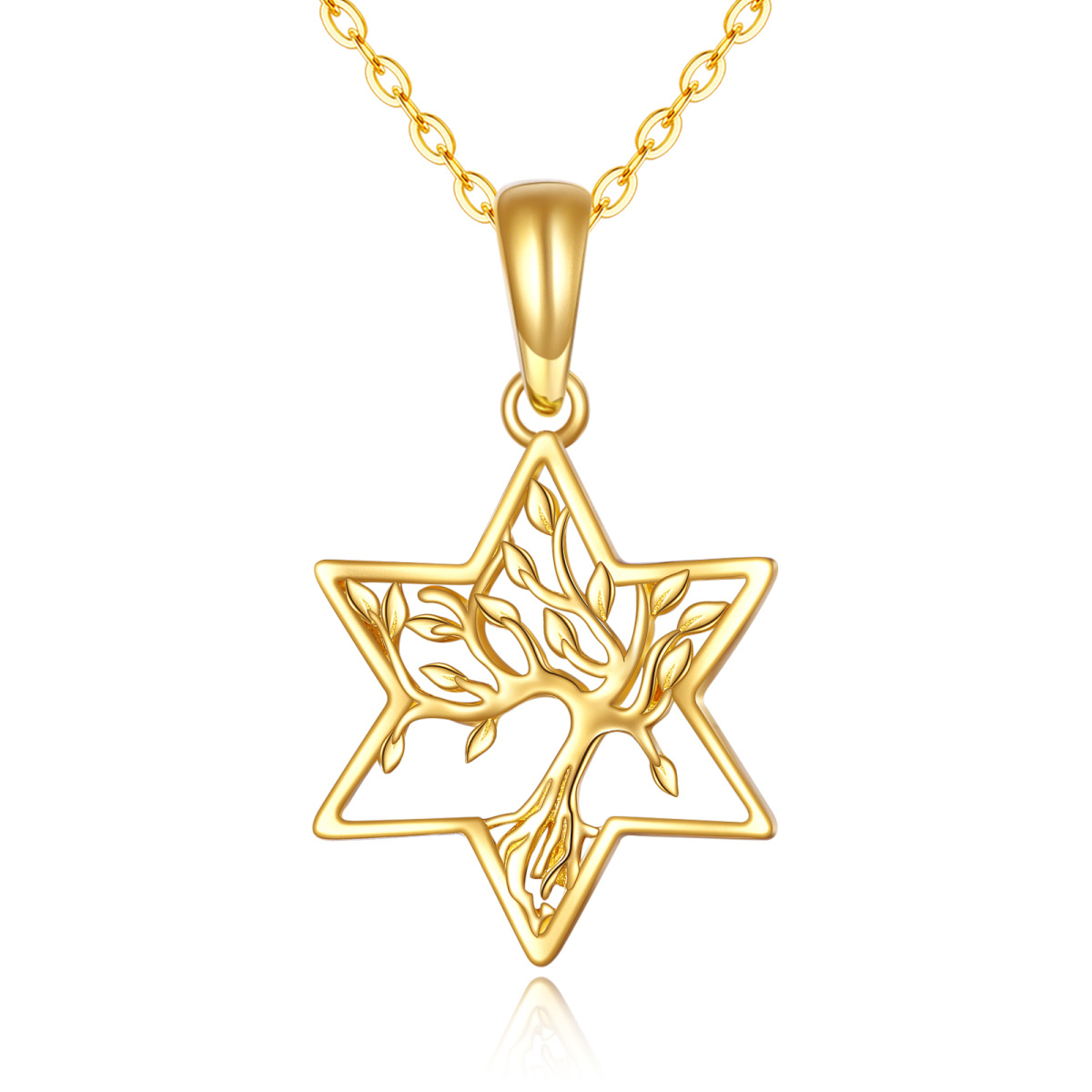 Collier en or 14K avec pendentif arbre de vie et étoile de David-1