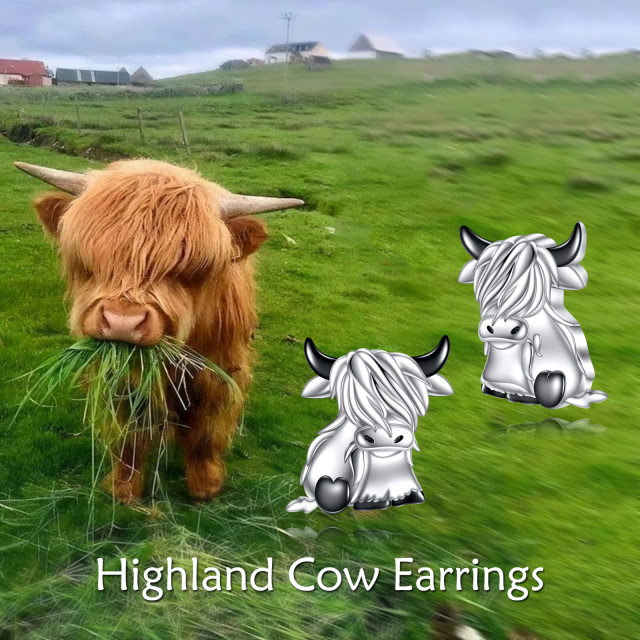 Sterling Silver Two-tone Highland Cow Stud Earrings-6