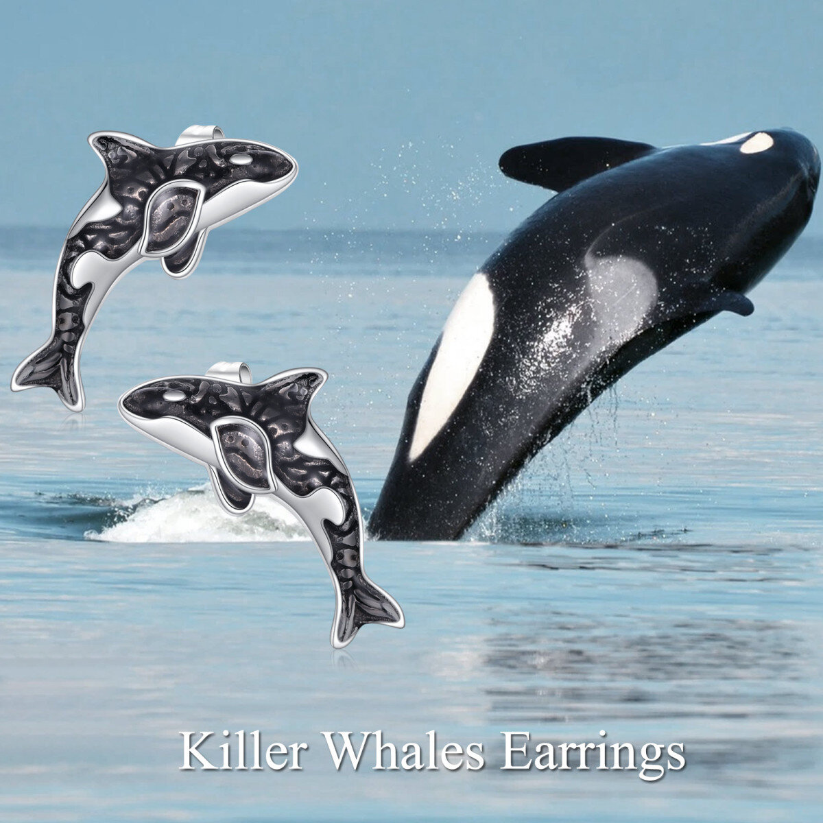Sterling Silver Two-tone Black Killer Whale Orca Ocean Stud Earrings-6