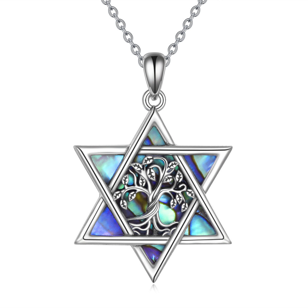 Sterling Silver Abalone Shellfish Tree Of Life & Star Of David Pendant Necklace-1