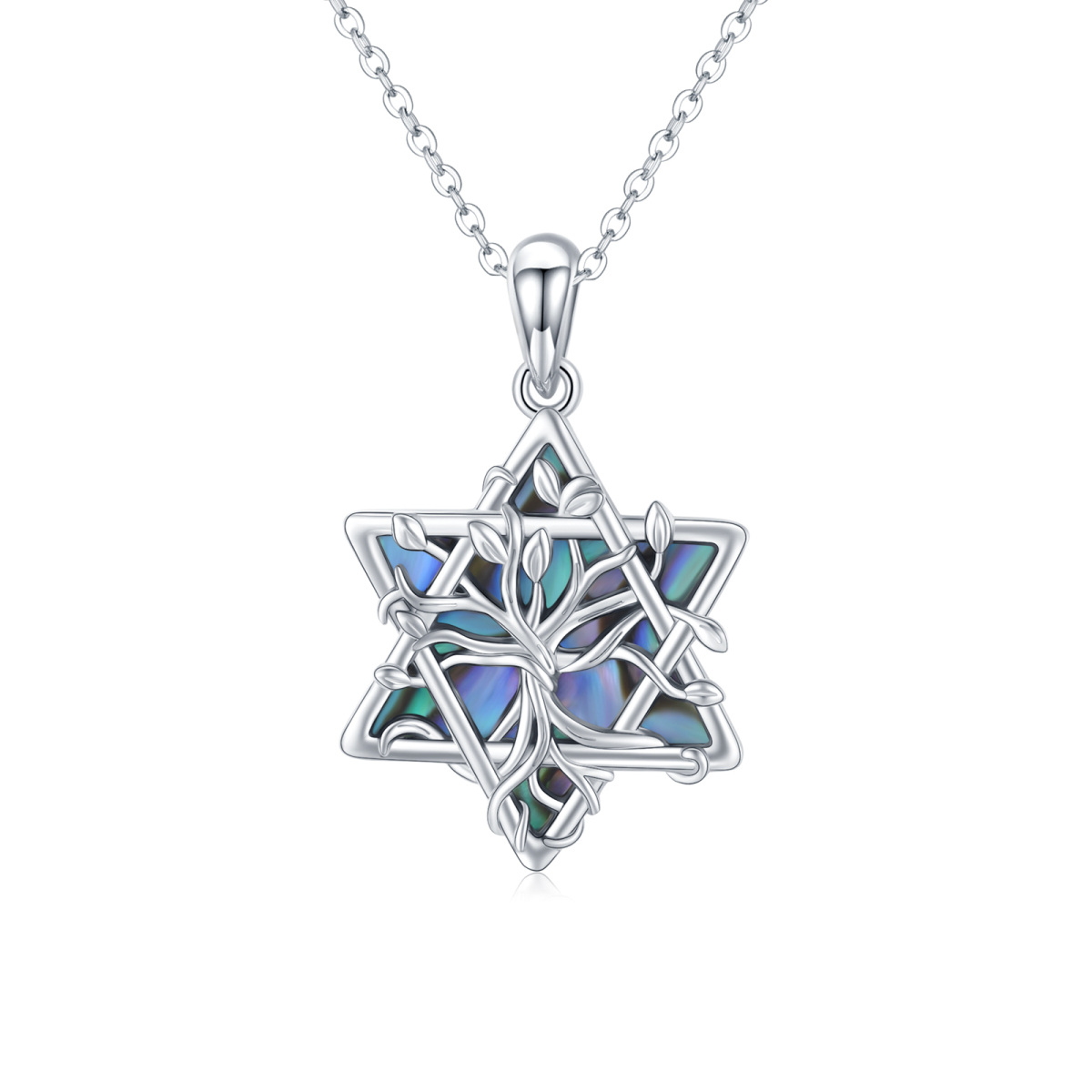 Sterling Silver Abalone Shellfish Star Of David Tree Of Life Pendant Necklace-1
