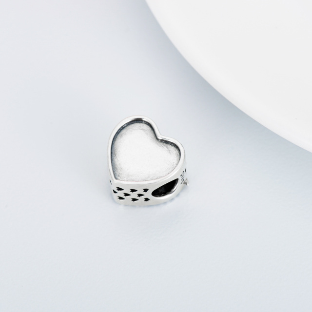 Amuleto de coração de golfinho para pulseira com conta de foto, presente para mulheres e meninas-7