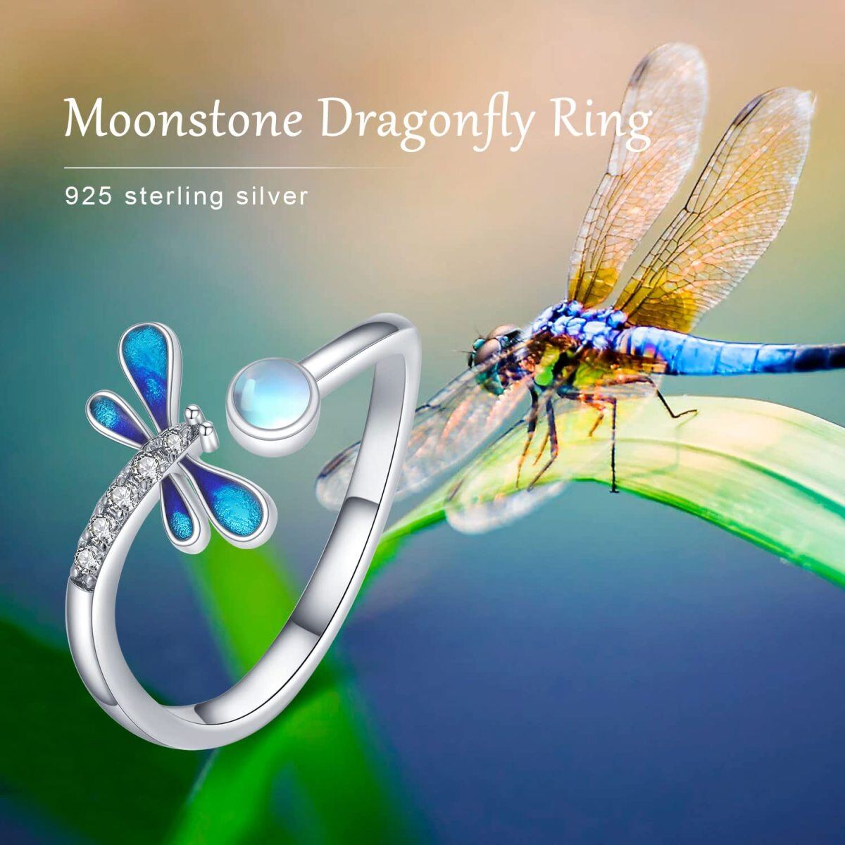 Sterling Silver Circular Shaped Cubic Zirconia & Moonstone Dragonfly Open Ring-6