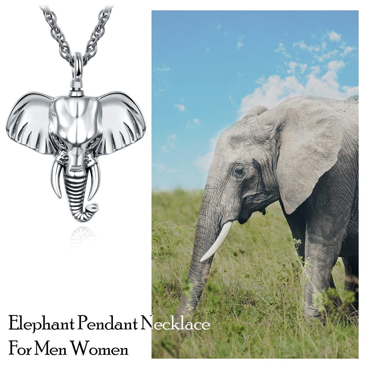 Sterling Silver Elephant Urn Necklace for Ashes with Cable Chain-6