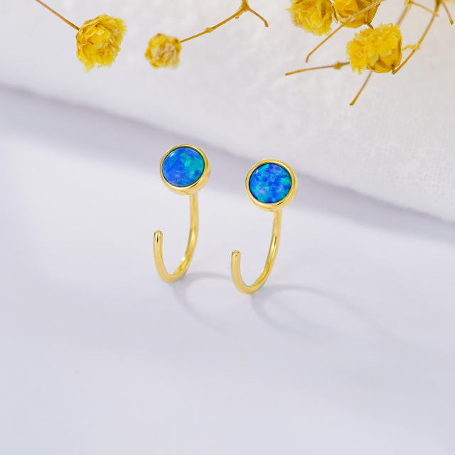 14K Gold Opal Drop Earrings-2