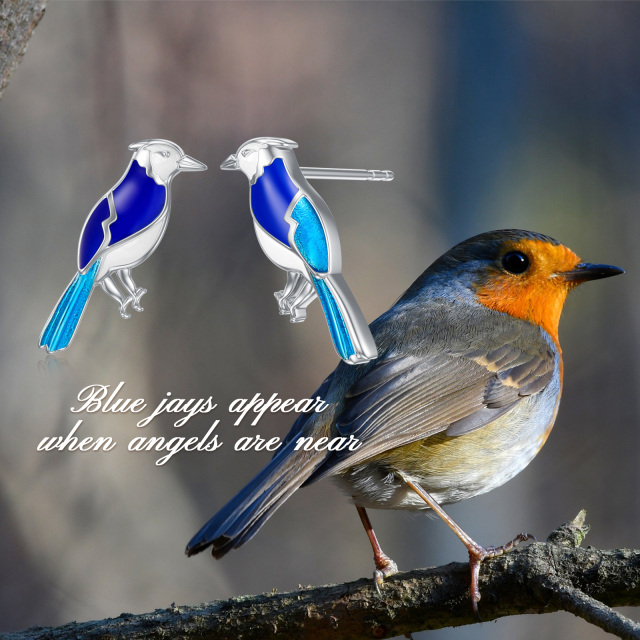 Sterling Silver Blue Jay Stud Earrings-4