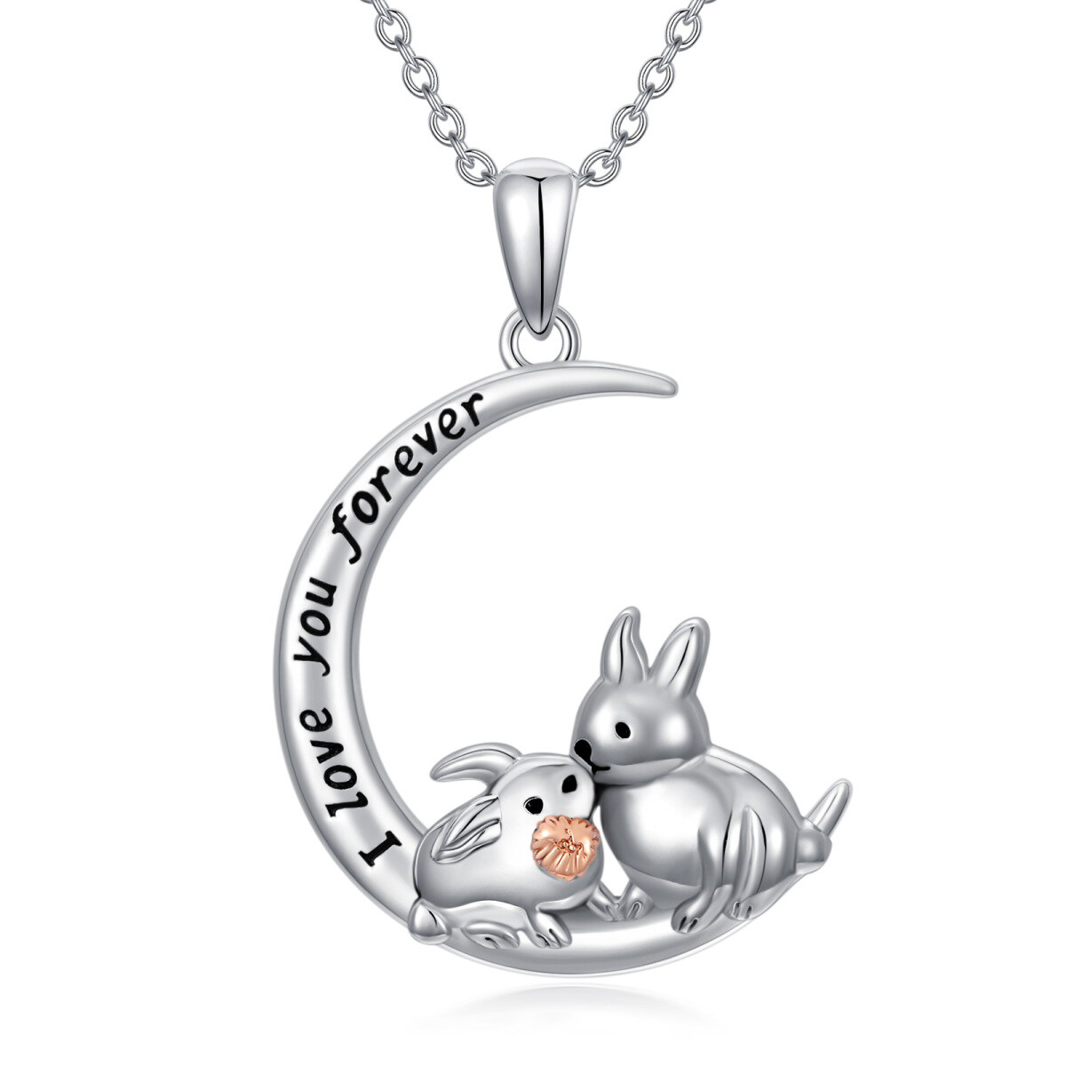 Collier en argent sterling à pendentif lapin et lune bicolore avec mot gravé-1