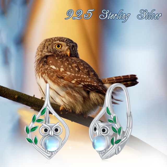 18K White Gold Plated Circular Shaped Moonstone Owl Drop Earrings-3