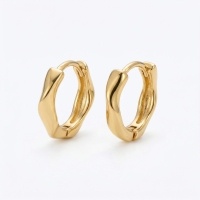 wholesale 925 Sterling Silver Elegant Minimalist Organic Shaped Wavy Metallic Huggie Earrings Wholesale - JewelryODM-undefined
