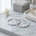 wholesale 925 Sterling Silver Twisted Hoop Earrings For Women Sparkling Circle Hoops-0-3