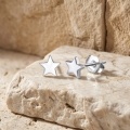 wholesale 925 Sterling Silver Elegant Sterling  Star Stud Earrings: Classic Design for Everyday Wear-0-2