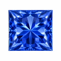 Cultivation Of Sapphire Princess-0-1