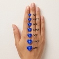Cultured Sapphire Heart-0-3
