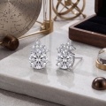 wholesale 925 Sterling Silver Moissanite Star Stud Earrings For Women-0-1