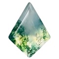 Aquatic Plant Agate Moss Agate Kite Shape-0-0