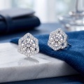 wholesale 925 Sterling Silver Moissanite Flower Halo Stud Earrings For Women-0-2